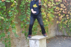 sifu-david-peterson-wslvt-seminar-in-rome-nov-2013-07