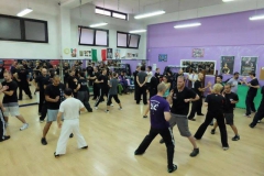 sifu-david-peterson-wslvt-seminar-in-rome-oct-2014-20