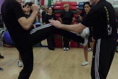sifu-david-peterson-wslvt-seminar-in-rome-oct-2014-26